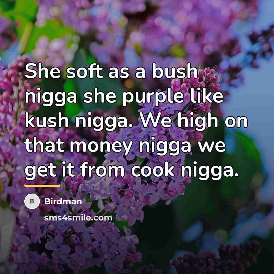“She soft as a bush nigga she purple like kush…” quote by Birdman