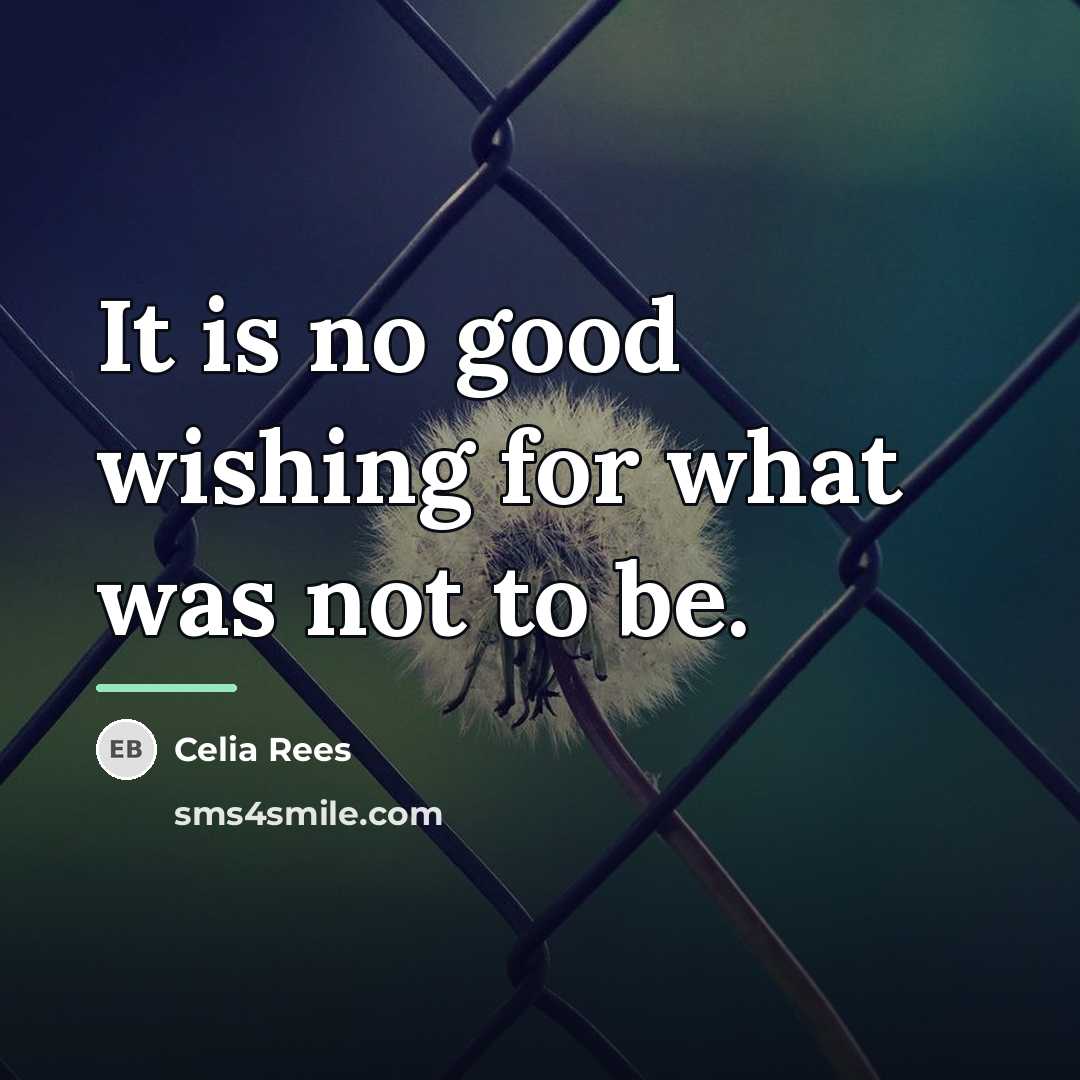 “It is no good wishing for what was not to…” quote by Celia Rees