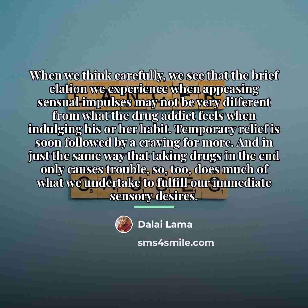 “When we think carefully, we see that the brief elation…” quote by Dalai Lama