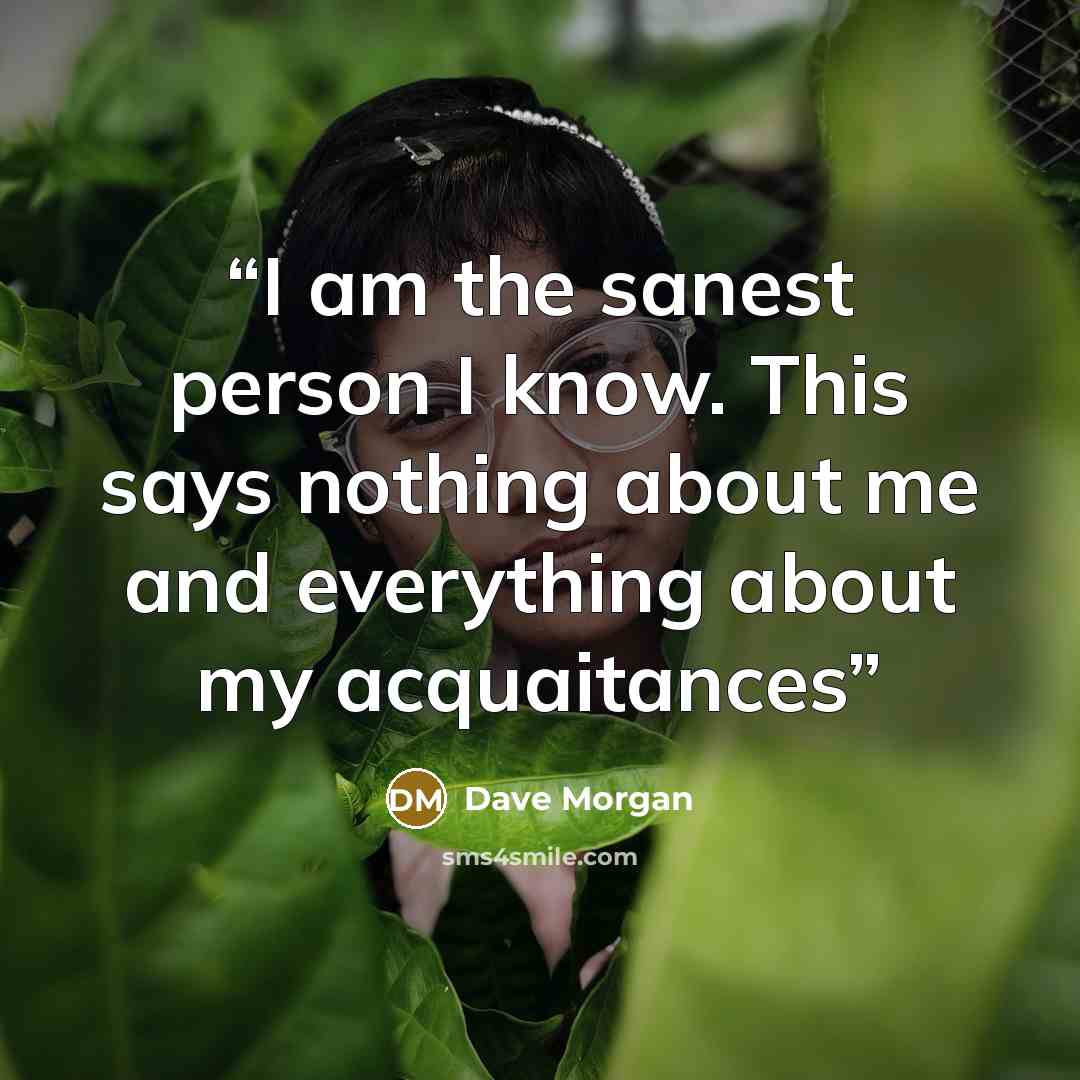 “I am the sanest person I know. This says nothing about me and everything about my acquaitances” quote by Dave Morgan