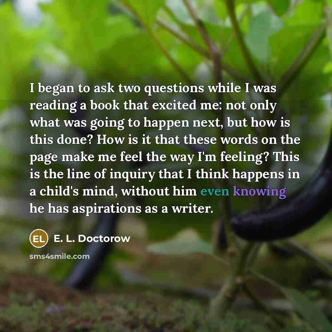 “I began to ask two questions while I was reading…” quote by E. L. Doctorow