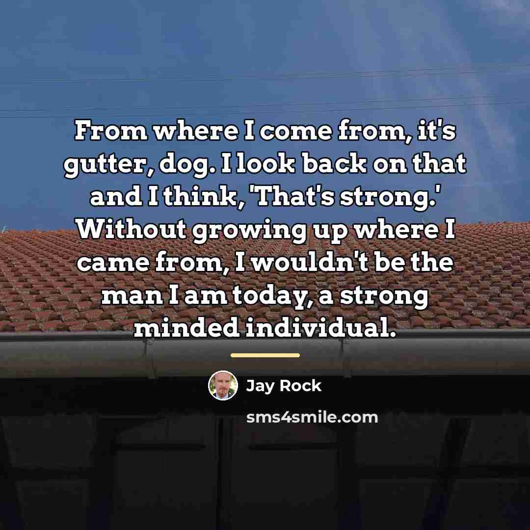 “From where I come from, it's gutter, dog. I look…” quote by Jay Rock