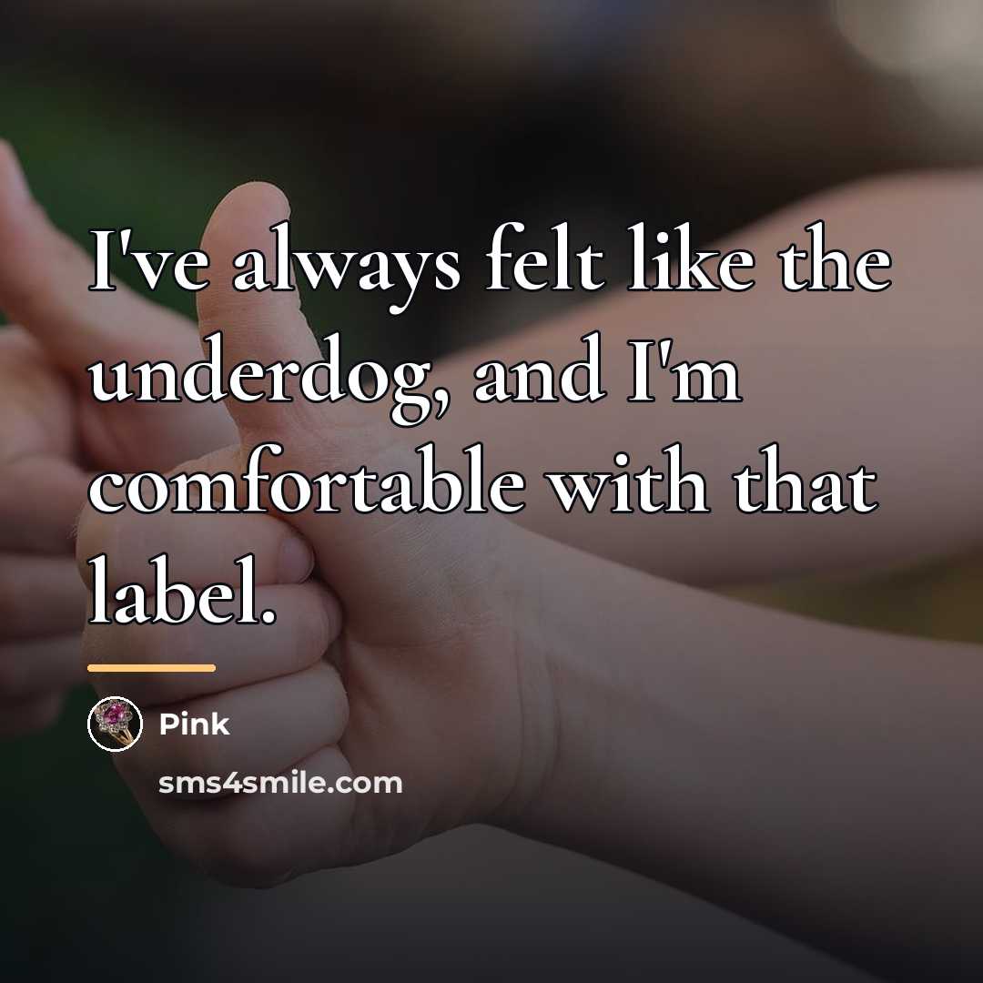 “I've always felt like the underdog, and I'm comfortable with…” quote by Pink