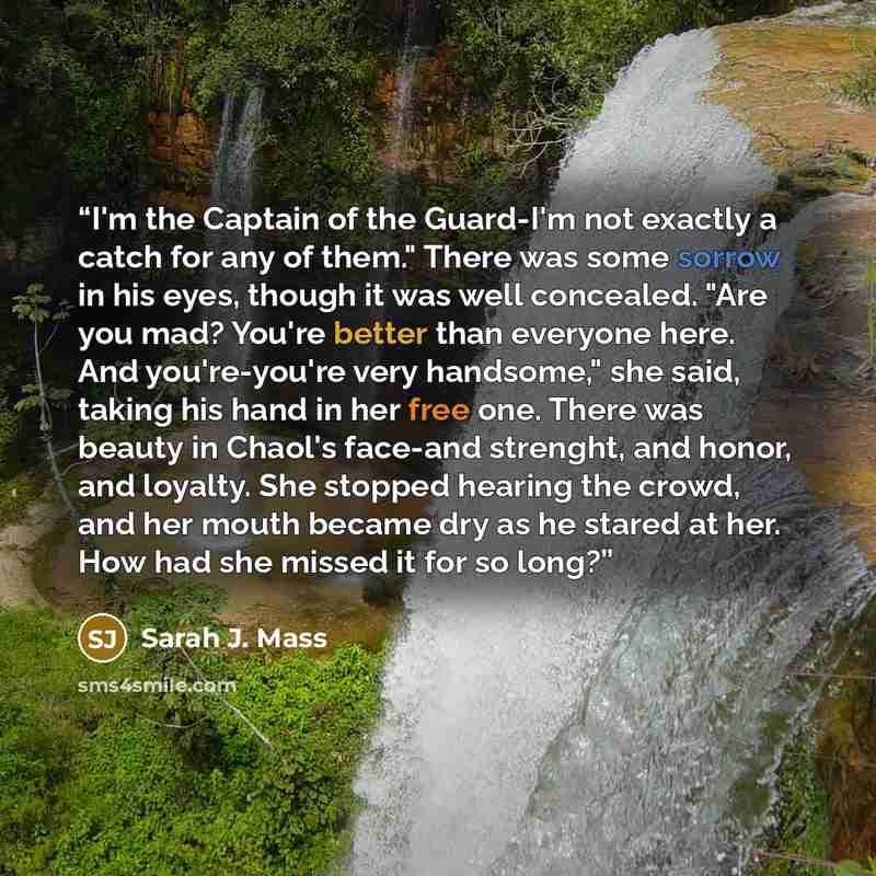 “I'm the Captain of the Guard-I'm not exactly a catch for any of them." There was some sorrow in his eyes, though it was well concealed. "Are you mad? You're better than everyone here. And you're-you're very handsome," she said, taking his hand in her free one. There was beauty in Chaol's face-and…” quote by Sarah J. Mass
