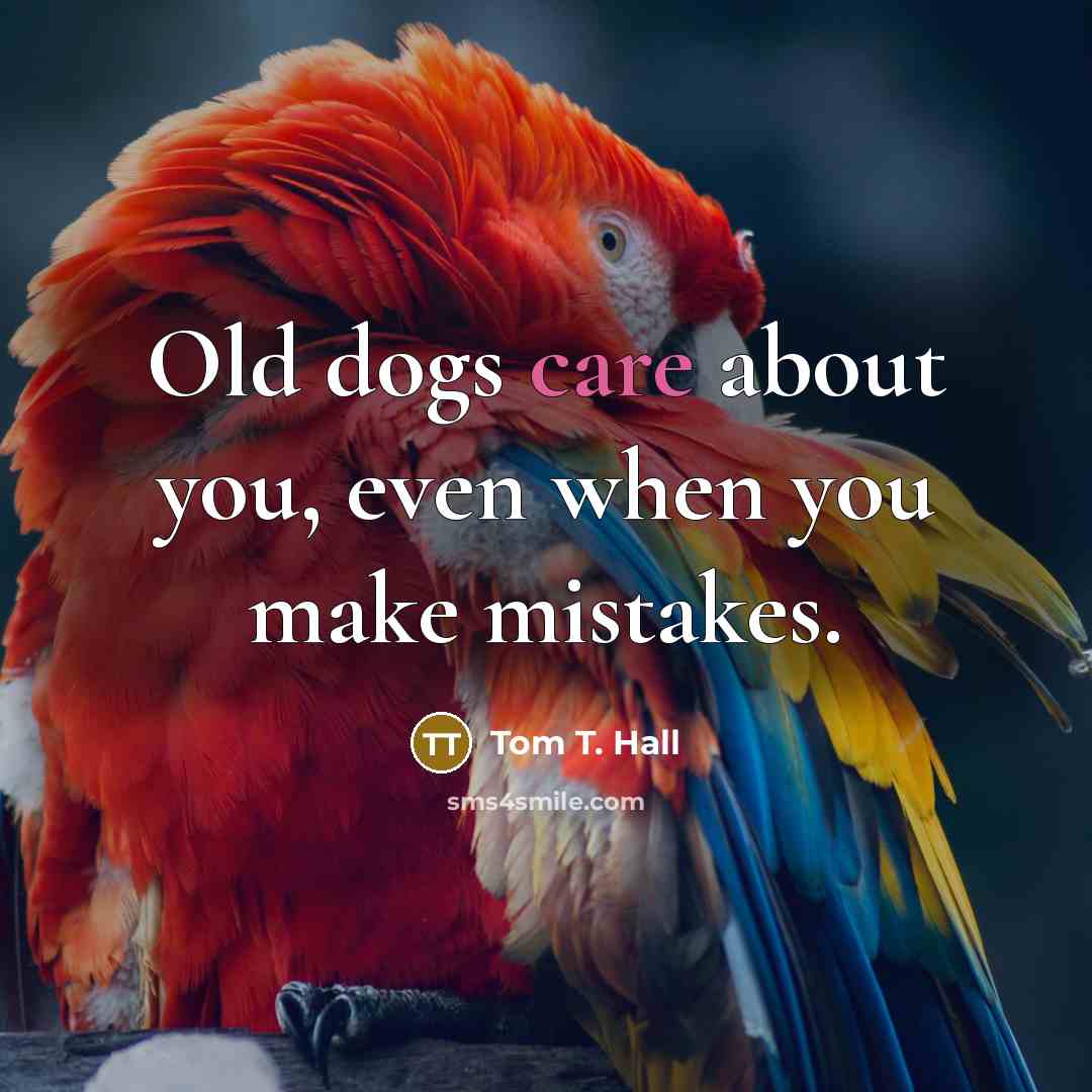 “Old dogs care about you, even when you make mistakes.…” quote by Tom T. Hall