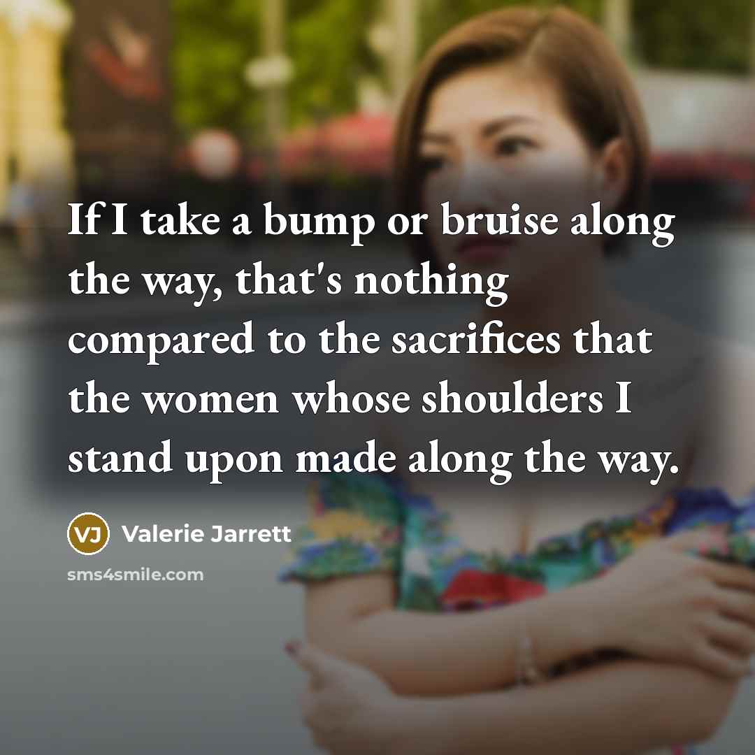 “If I take a bump or bruise along the way,…” quote by Valerie Jarrett