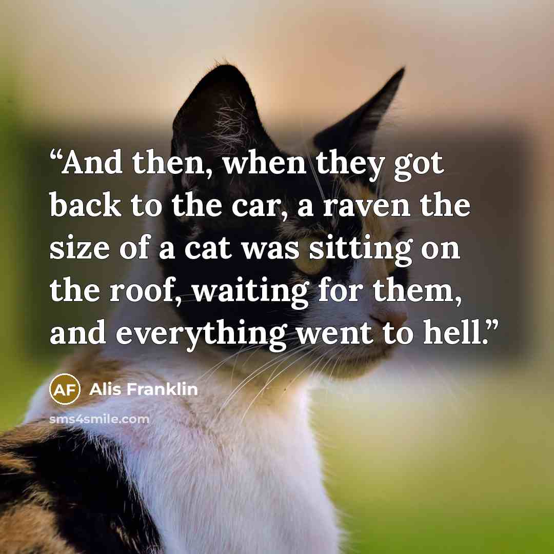 “And then, when they got back to the car, a raven the size of a cat was sitting on the roof, waiting for them, and everything went to hell.” quote by Alis Franklin