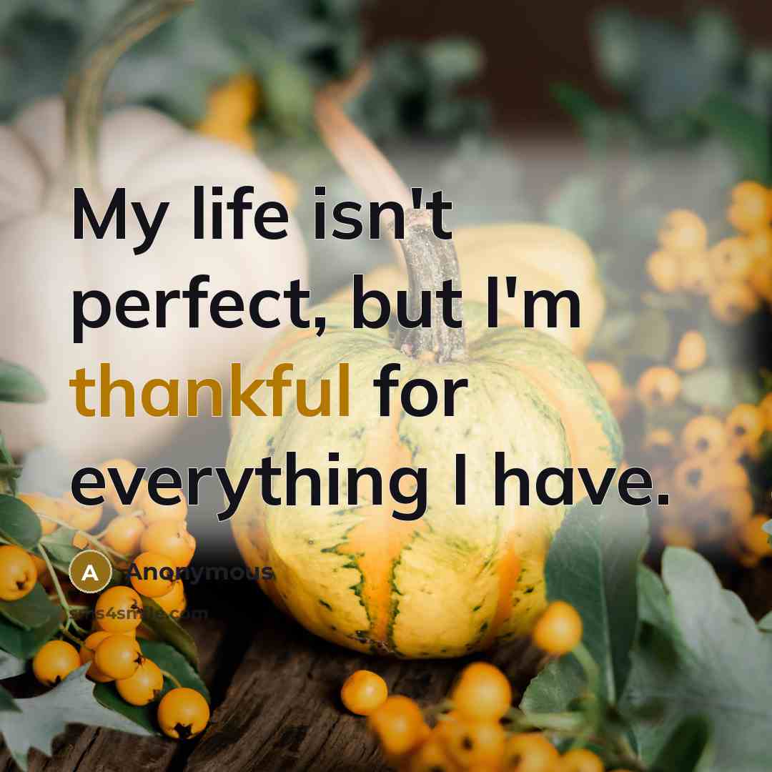“My life isn't perfect, but I'm thankful for everything I…” quote by Anonymous