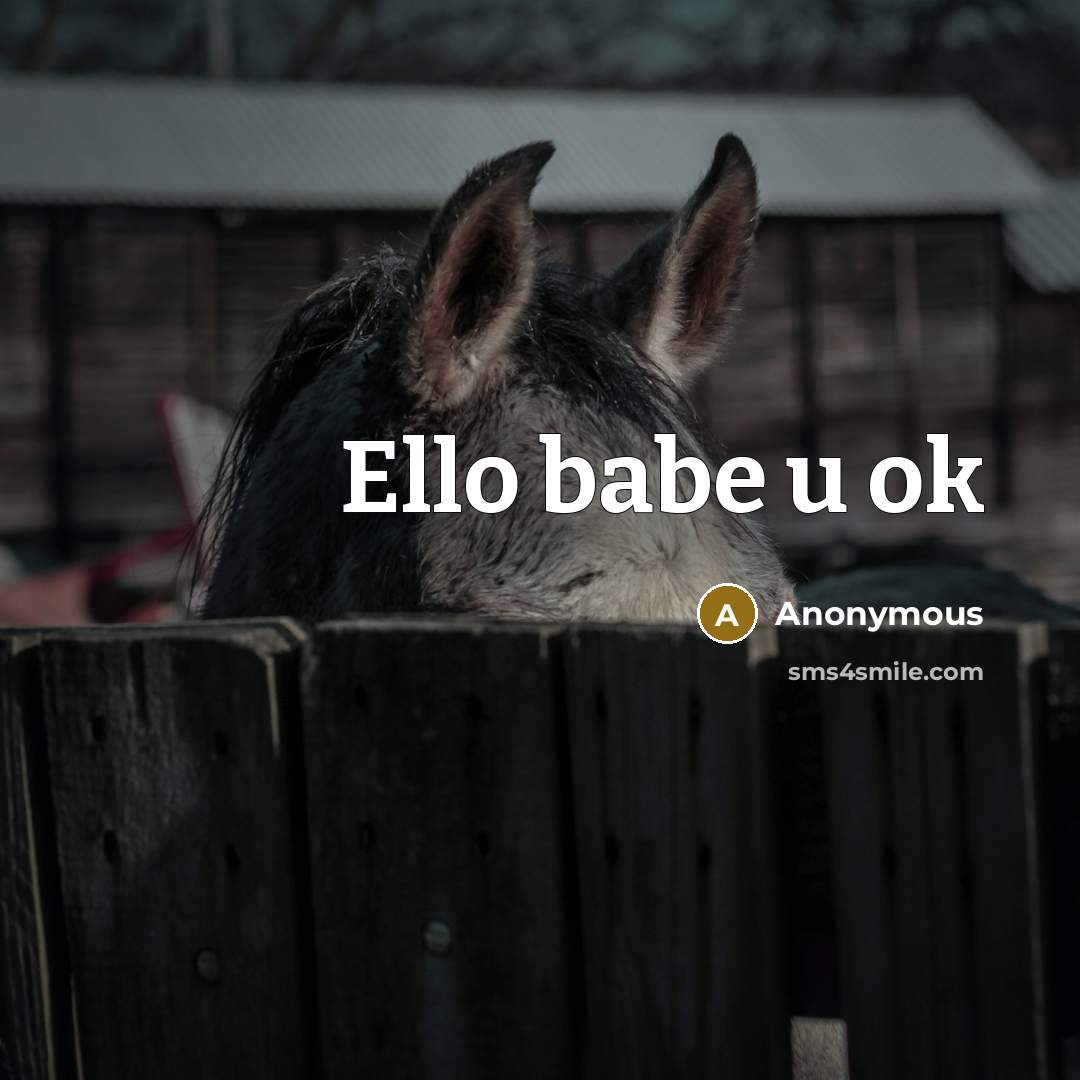 “Ello babe u ok” quote by Anonymous