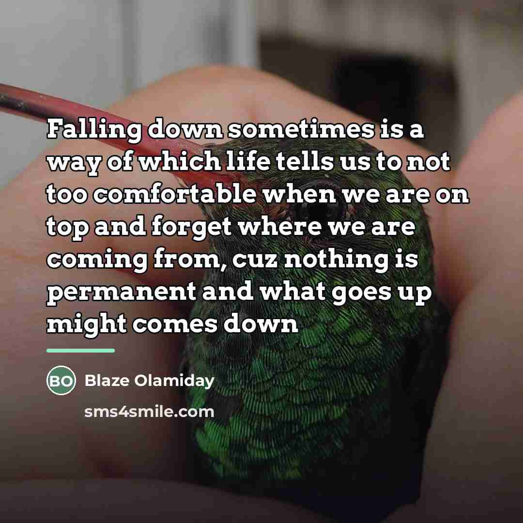 “Falling down sometimes is a way of which life tells…” quote by Blaze Olamiday