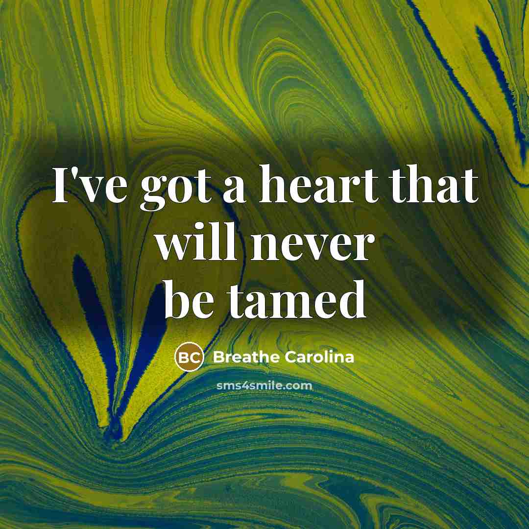 “I've got a heart that will never be tamed…” quote by Breathe Carolina
