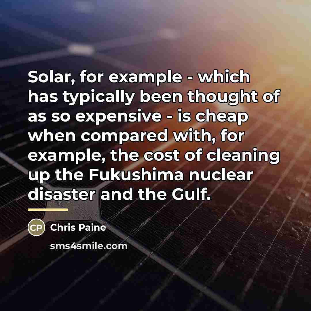 “Solar, for example - which has typically been thought of…” quote by Chris Paine