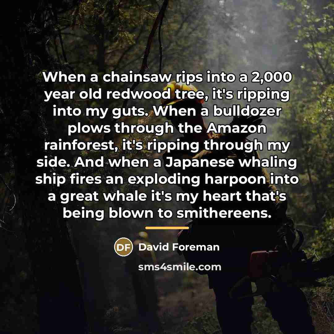 “When a chainsaw rips into a 2,000 year old redwood…” quote by David Foreman