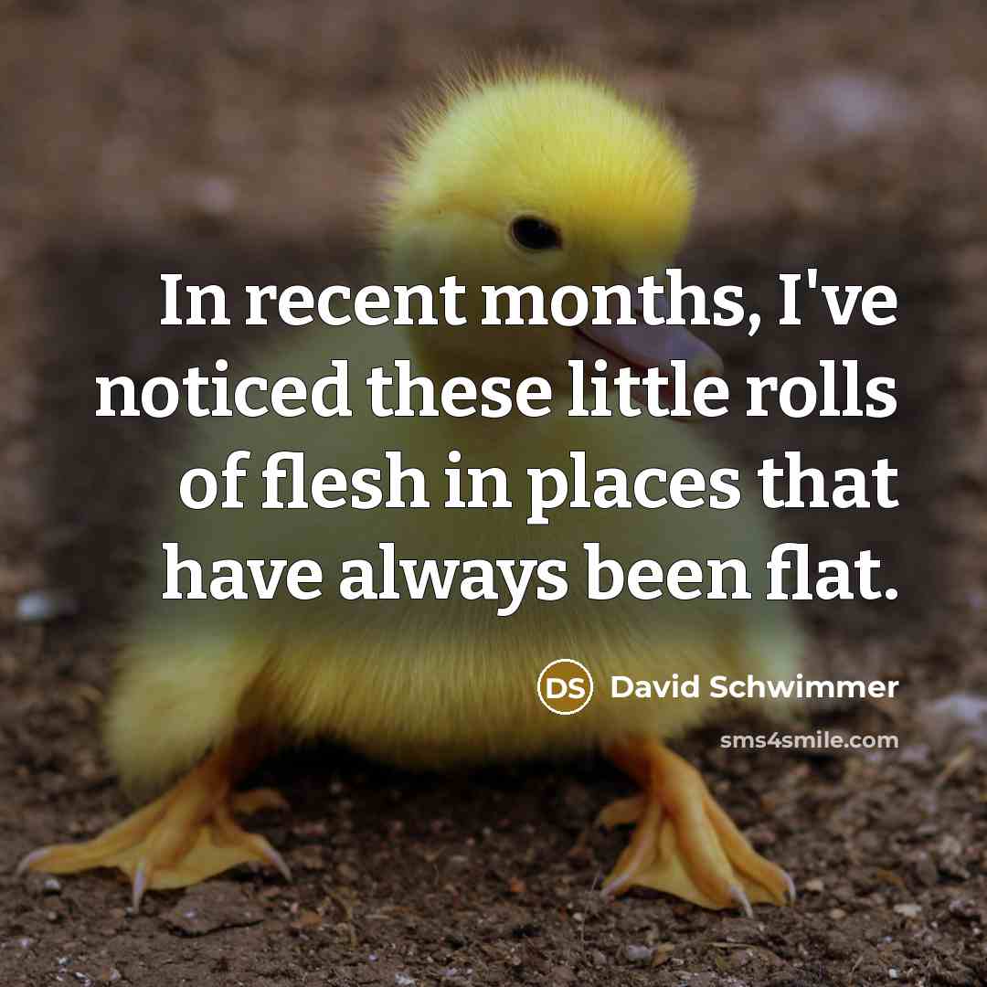 “In recent months, I've noticed these little rolls of flesh…” quote by David Schwimmer