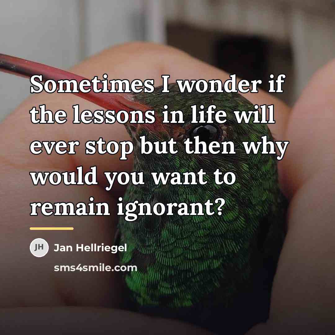 “Sometimes I wonder if the lessons in life will ever…” quote by Jan Hellriegel