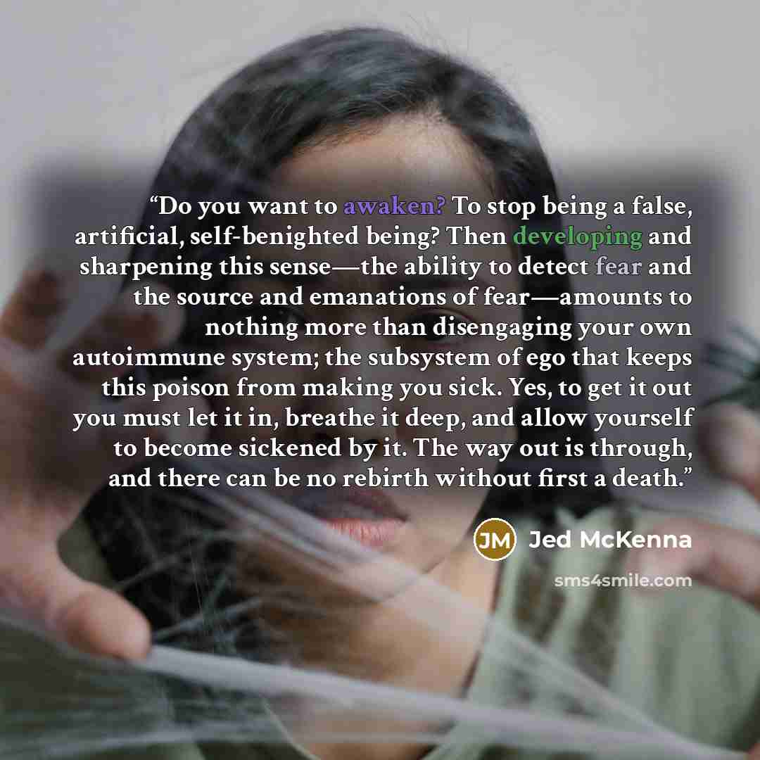 “Do you want to awaken? To stop being a false, artificial, self-benighted being? Then developing and sharpening this sense—the ability to detect fear and the source and emanations of fear—amounts to nothing more than disengaging your own autoimmune system; the subsystem of ego that keeps this…” quote by Jed McKenna