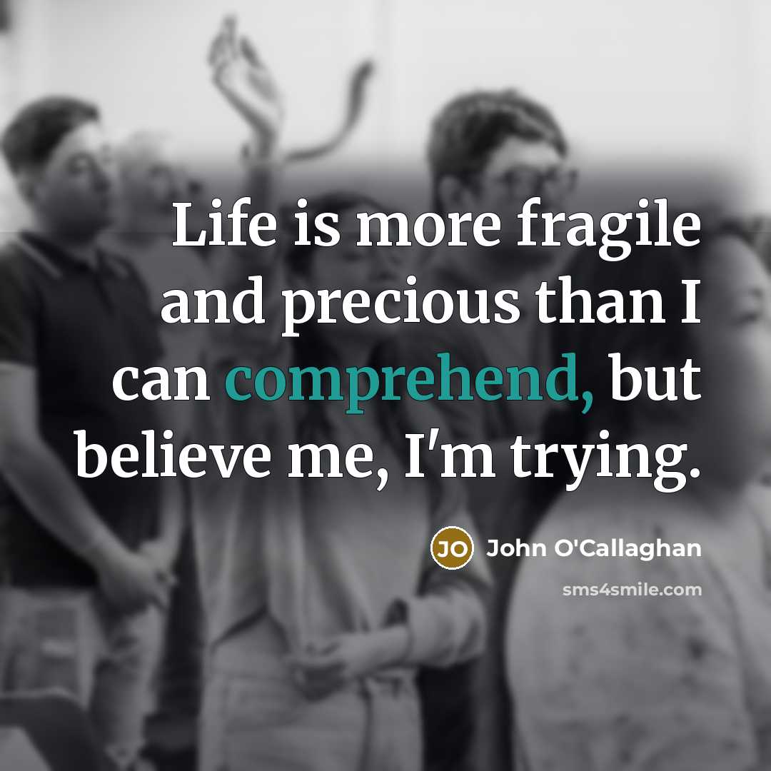 “Life is more fragile and precious than I can comprehend,…” quote by John O'Callaghan