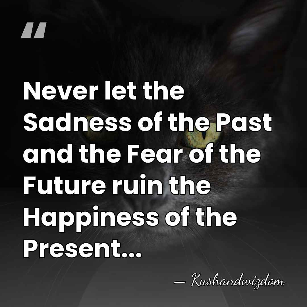 Never let the Sadness of the Past and the Fear of the&hellip; - Kushandwizdom