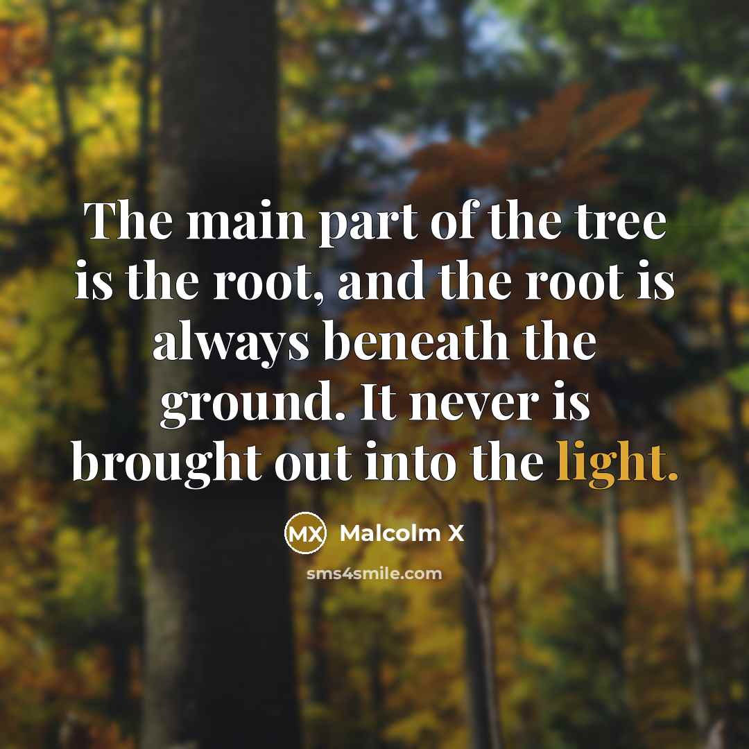 “The main part of the tree is the root, and…” quote by Malcolm X