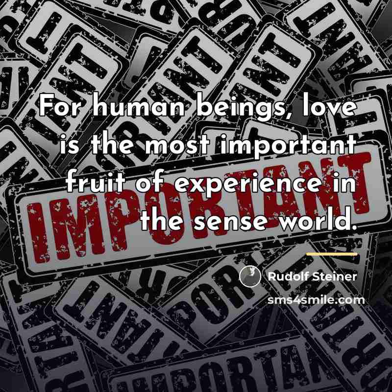 “For human beings, love is the most important fruit of…” quote by Rudolf Steiner