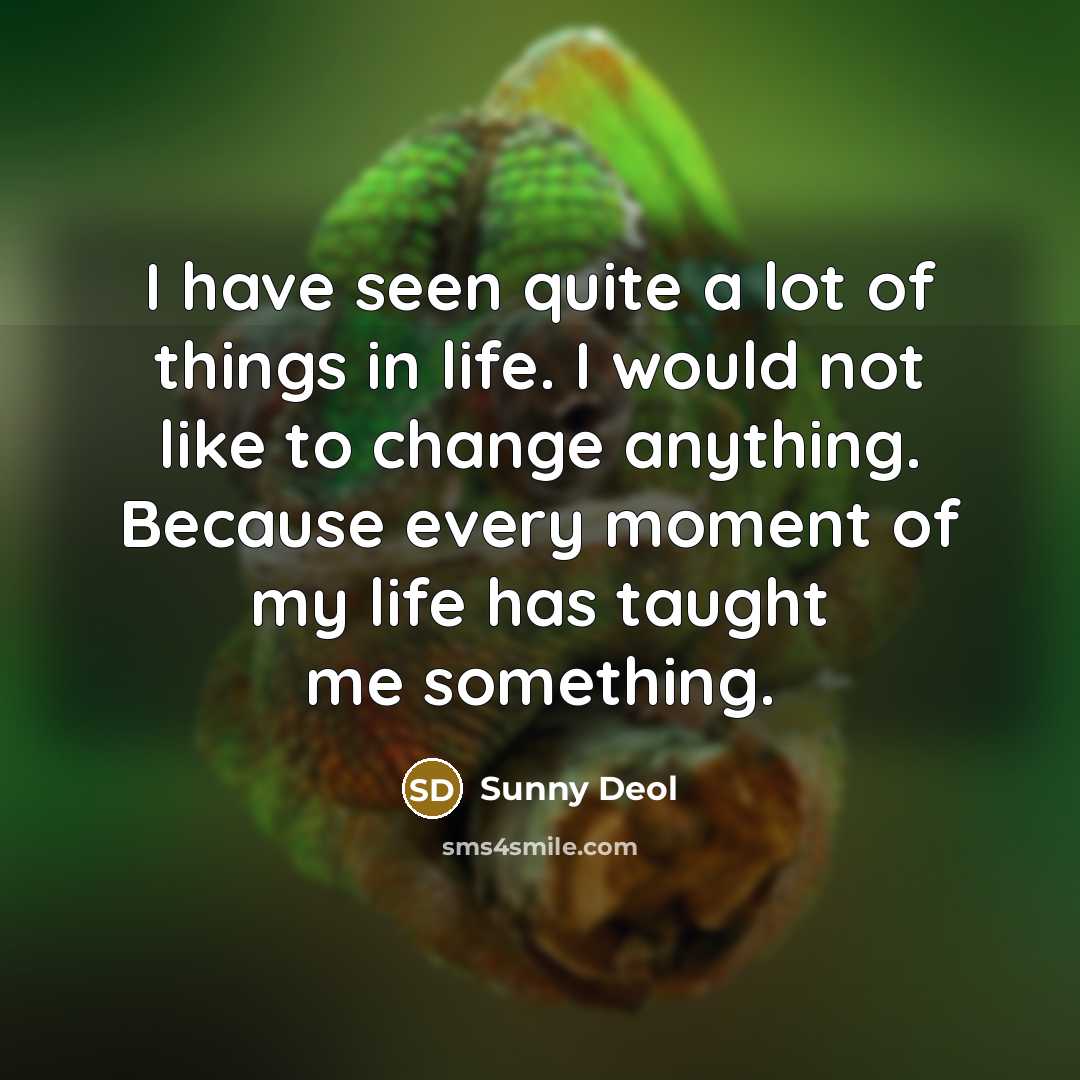 “I have seen quite a lot of things in life.…” quote by Sunny Deol