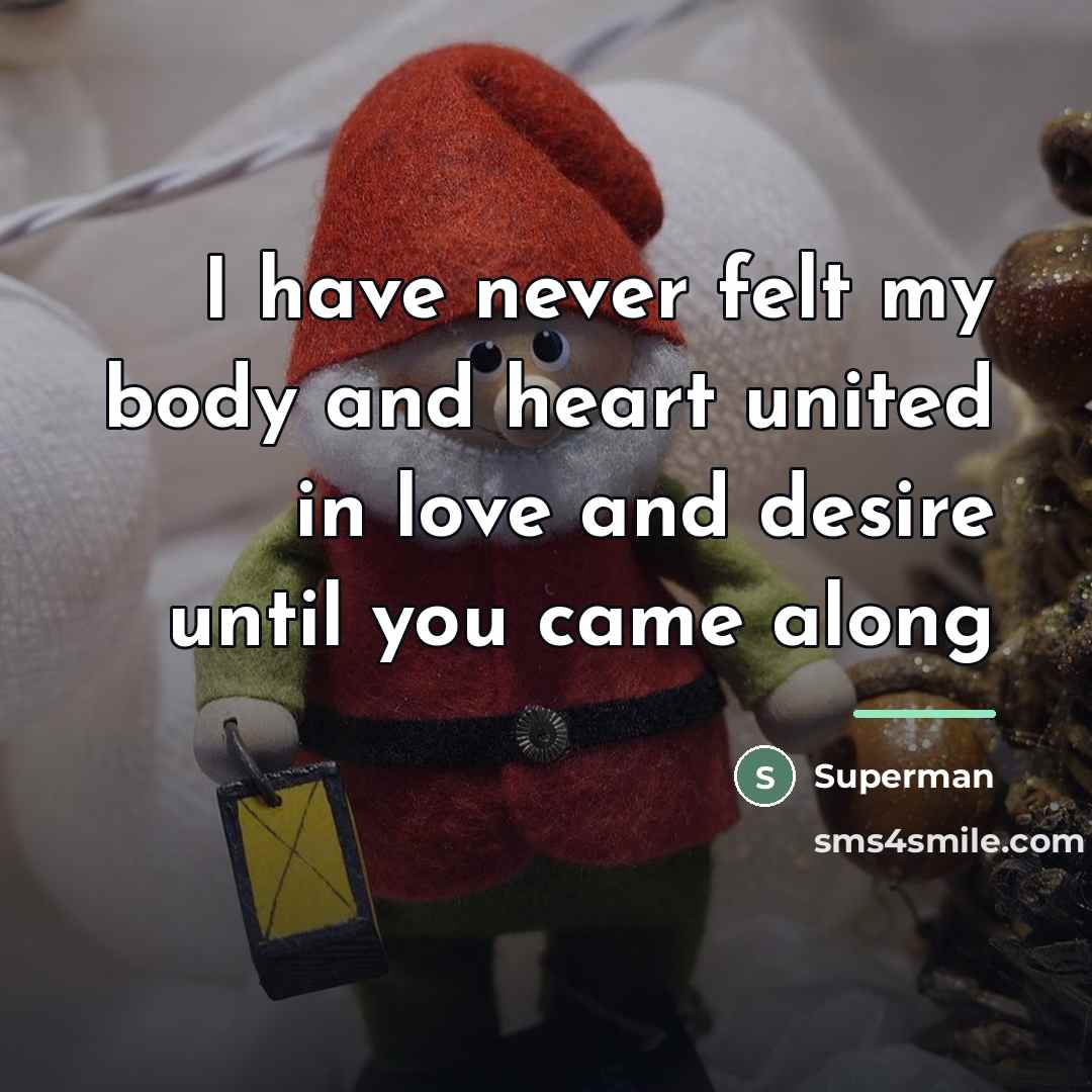 “I have never felt my body and heart united in…” quote by Superman