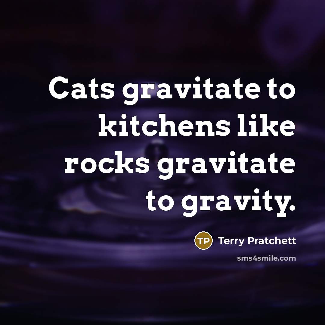 “Cats gravitate to kitchens like rocks gravitate to gravity.…” quote by Terry Pratchett