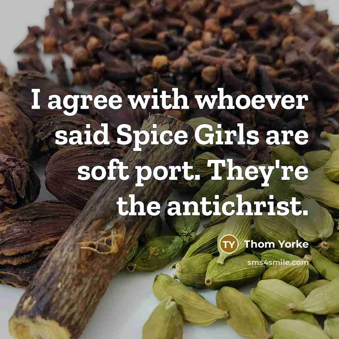 “I agree with whoever said Spice Girls are soft port.…” quote by Thom Yorke
