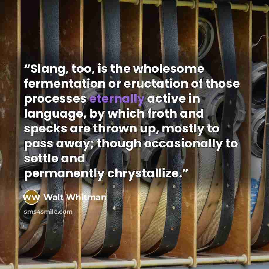 “Slang, too, is the wholesome fermentation or eructation of those processes eternally active in language, by which froth and specks are thrown up, mostly to pass away; though occasionally to settle and permanently chrystallize.” quote by Walt Whitman