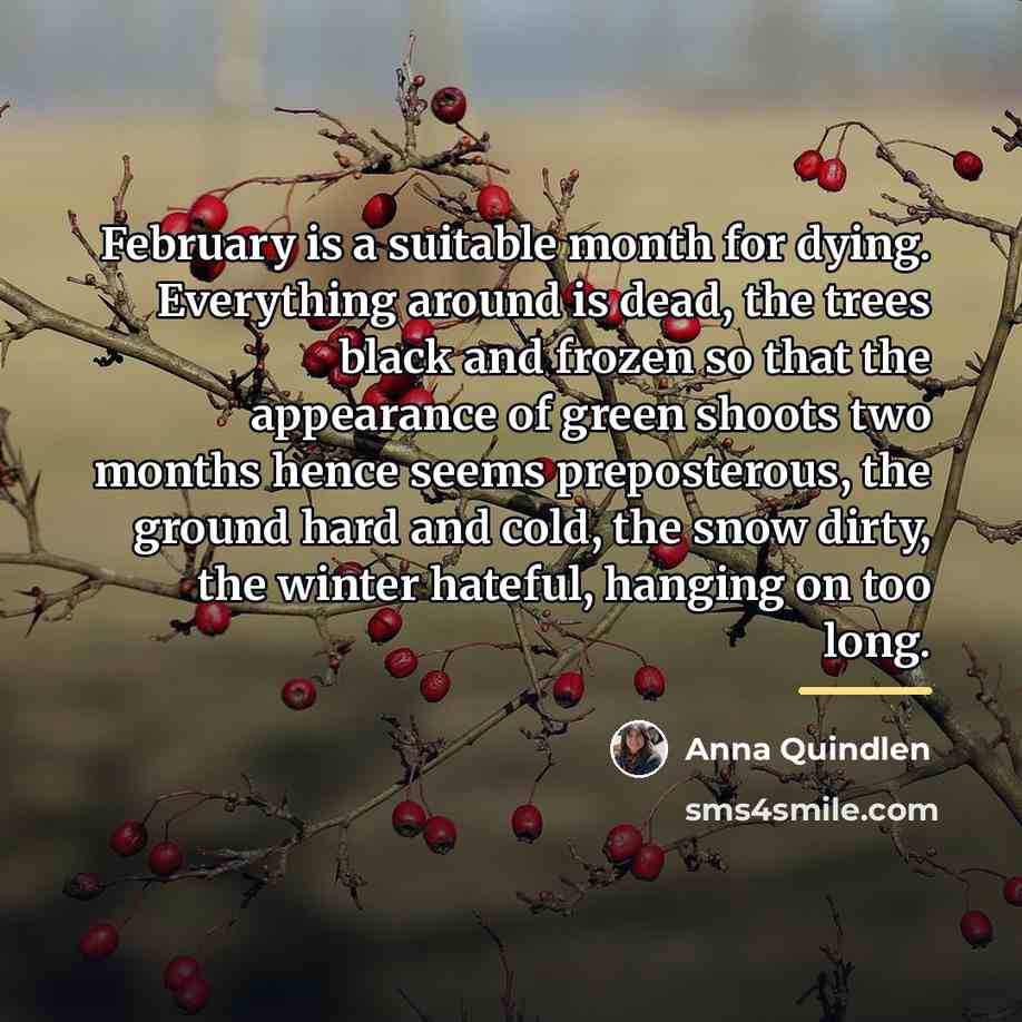 “February is a suitable month for dying. Everything around is…” quote by Anna Quindlen