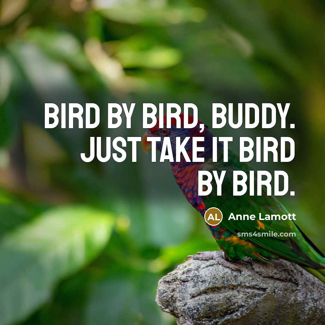 “Bird by bird, buddy. Just take it bird by bird.…” quote by Anne Lamott
