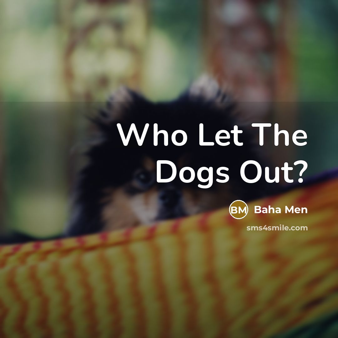 “Who Let The Dogs Out?” quote by Baha Men