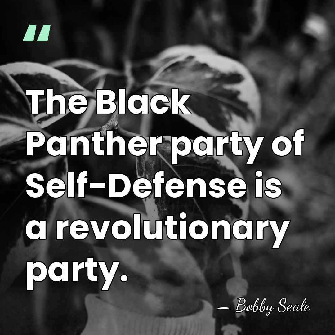 The Black Panther party of Self-Defense is a revolutionary party. - Bobby Seale