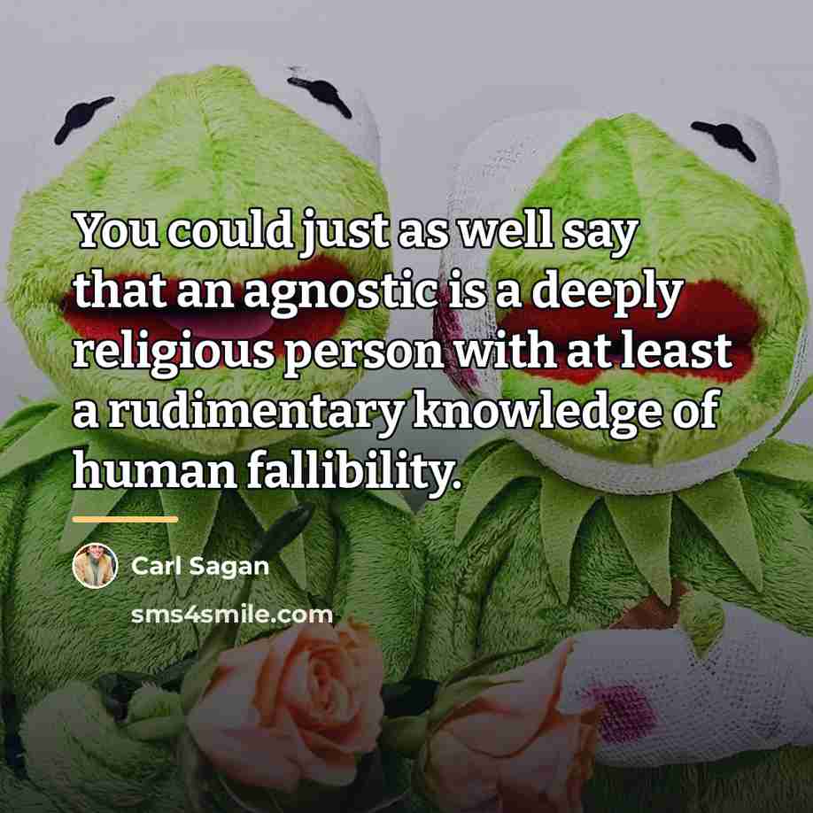 “You could just as well say that an agnostic is…” quote by Carl Sagan