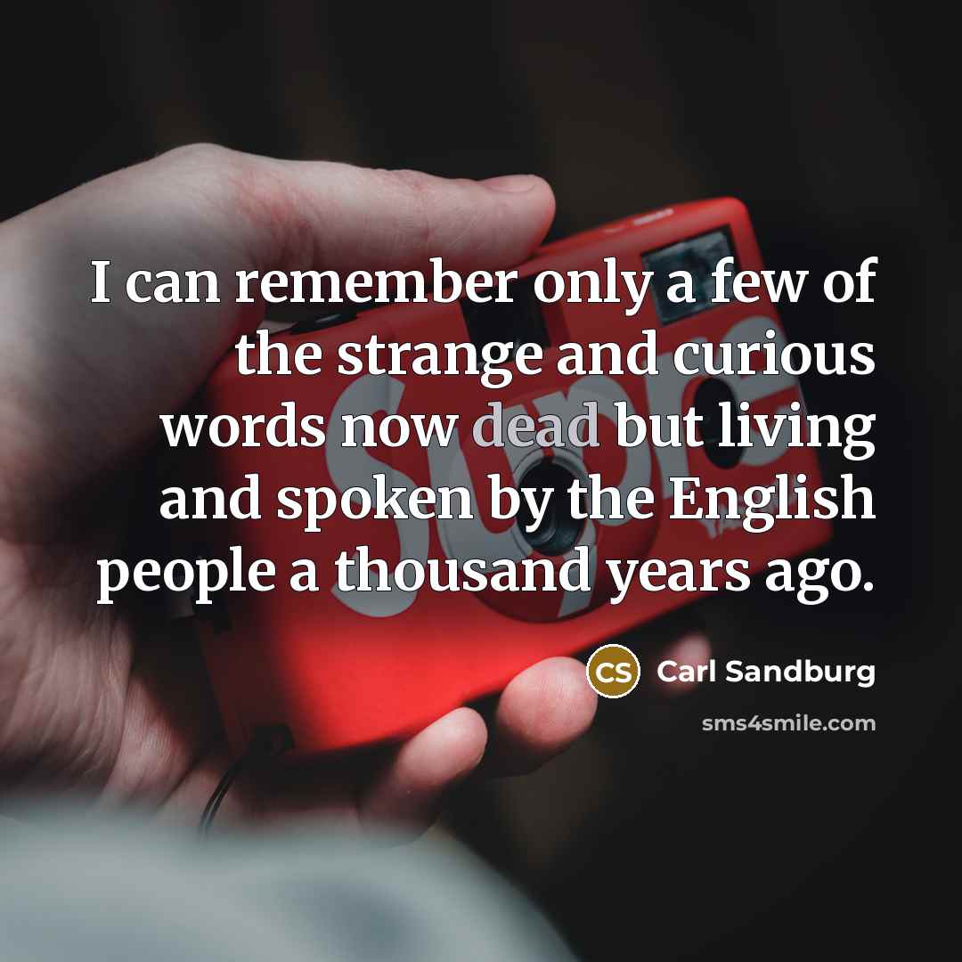 “I can remember only a few of the strange and…” quote by Carl Sandburg