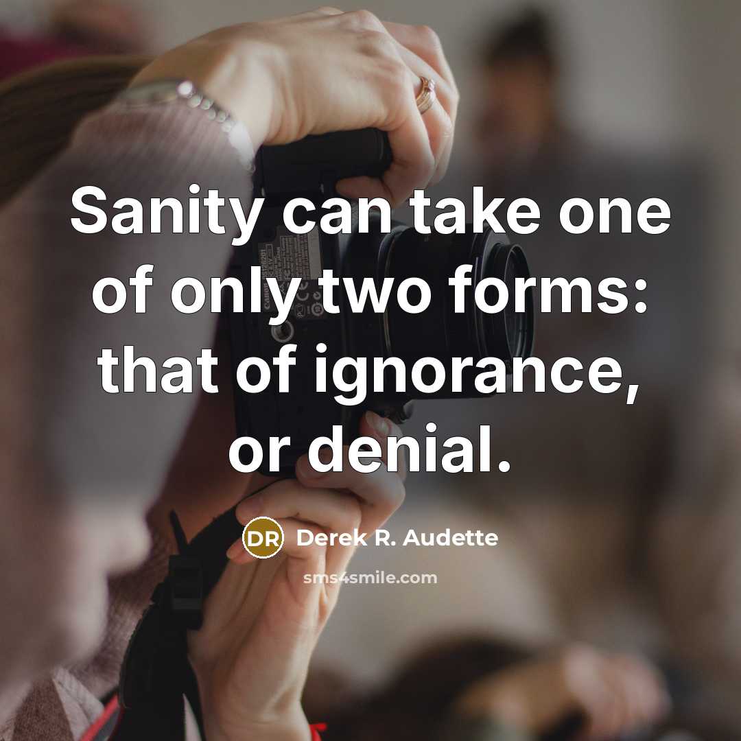 “Sanity can take one of only two forms: that of…” quote by Derek R. Audette