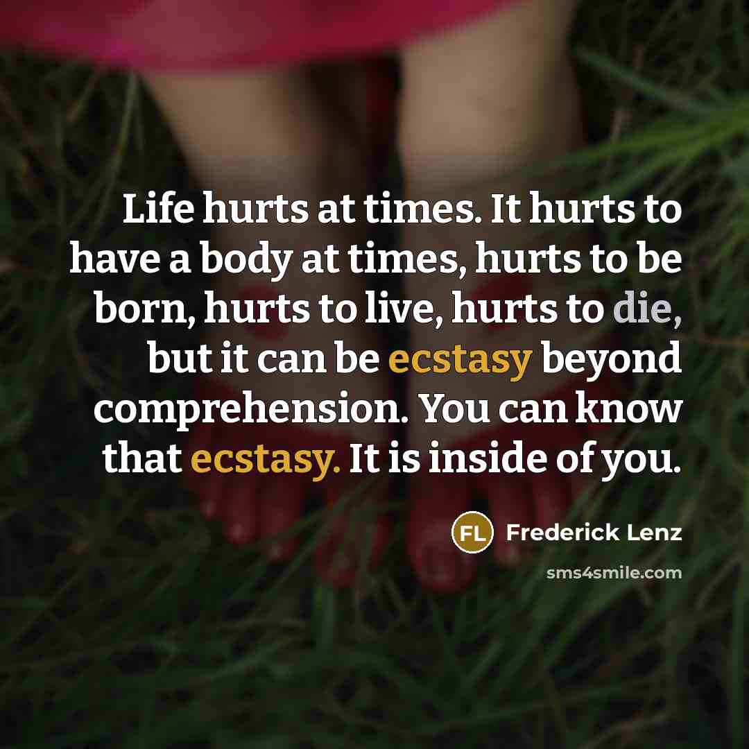 “Life hurts at times. It hurts to have a body…” quote by Frederick Lenz