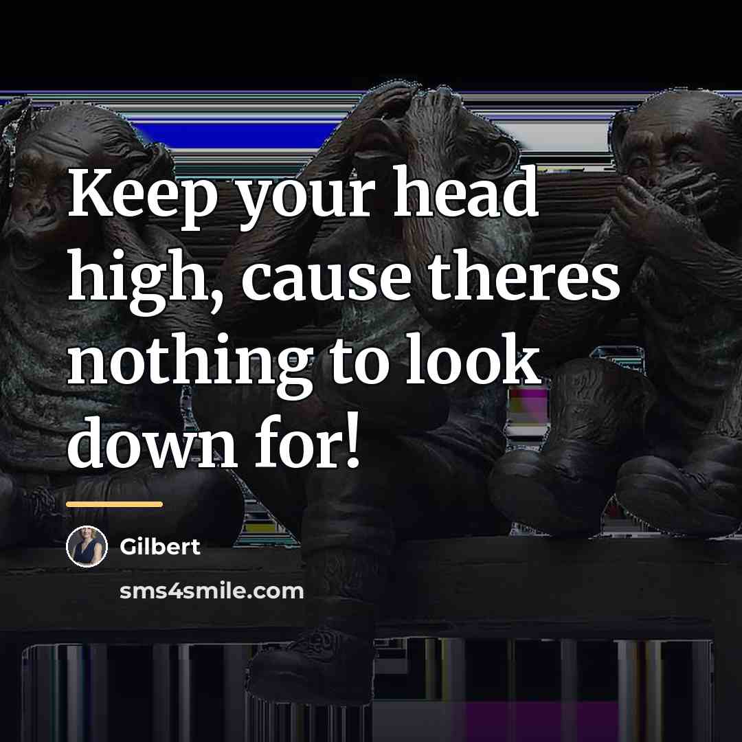 “Keep your head high, cause theres nothing to look down…” quote by Gilbert