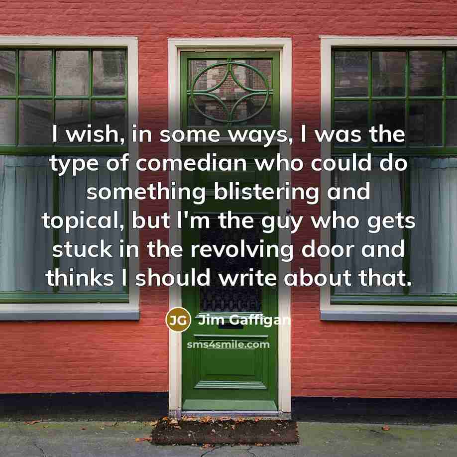 “I wish, in some ways, I was the type of…” quote by Jim Gaffigan