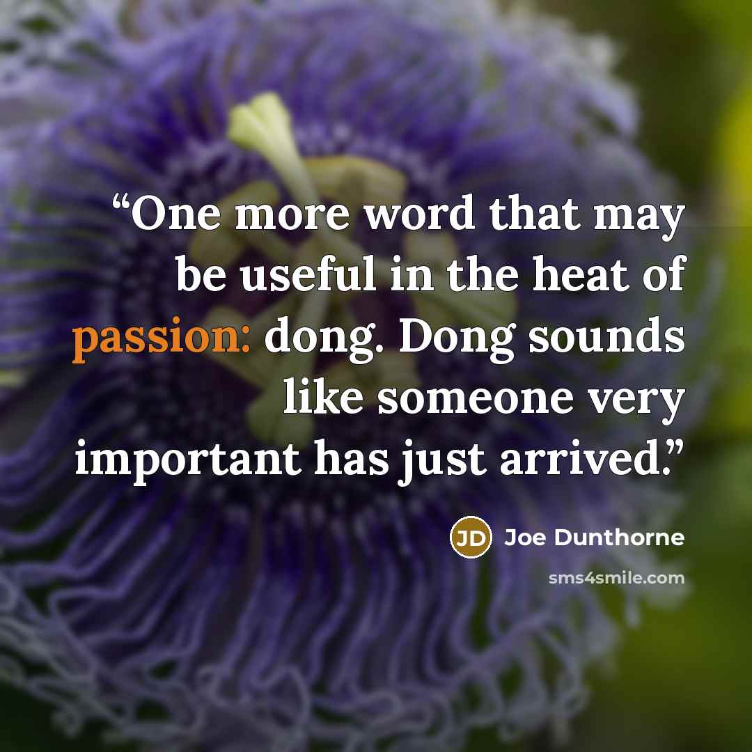 “One more word that may be useful in the heat of passion: dong. Dong sounds like someone very important has just arrived.” quote by Joe Dunthorne