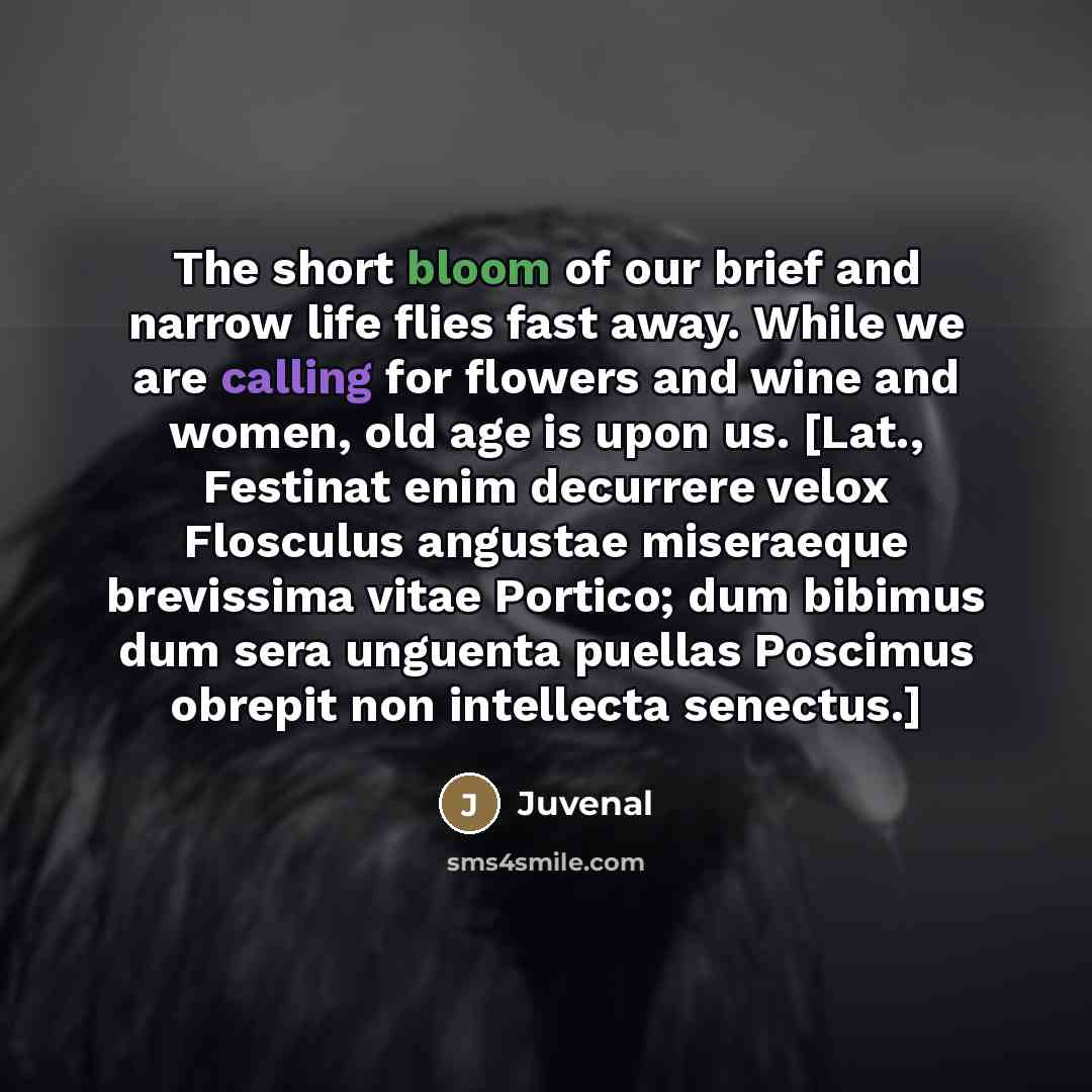 “The short bloom of our brief and narrow life flies…” quote by Juvenal