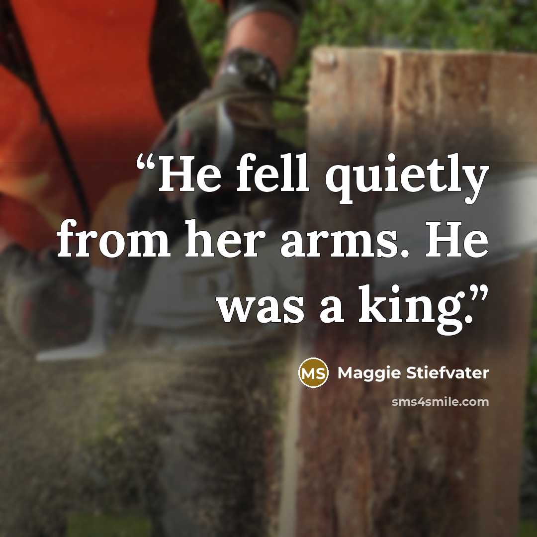 “He fell quietly from her arms. He was a king.” quote by Maggie Stiefvater
