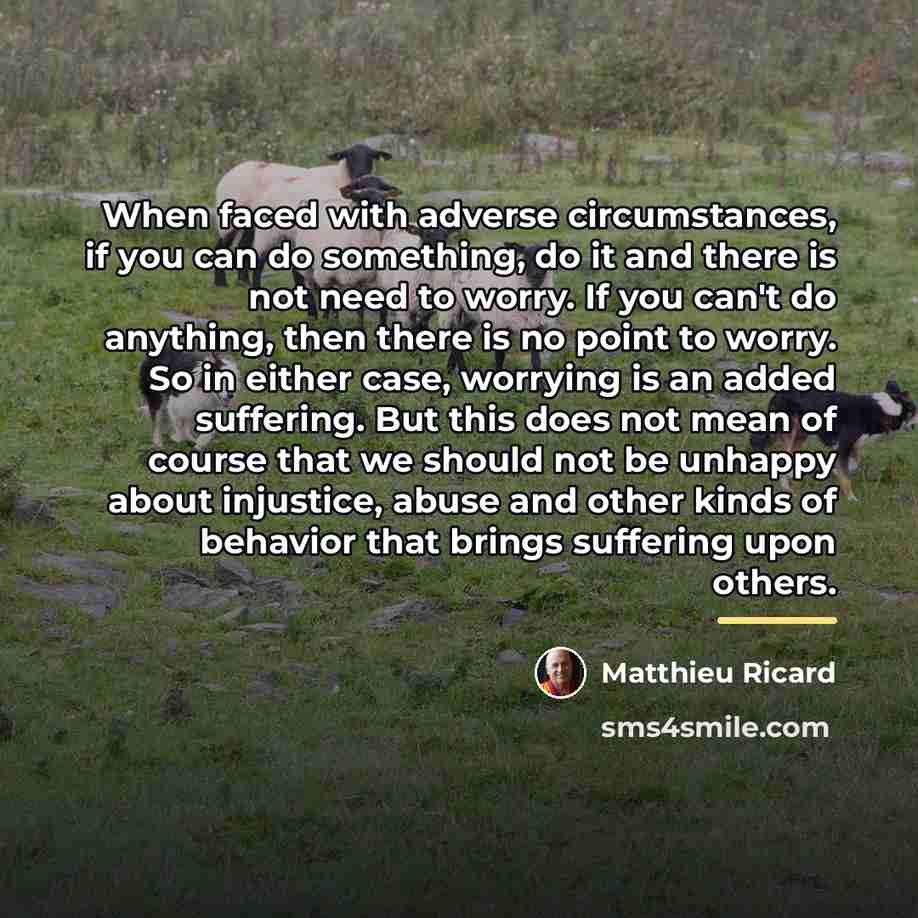 “When faced with adverse circumstances, if you can do something,…” quote by Matthieu Ricard