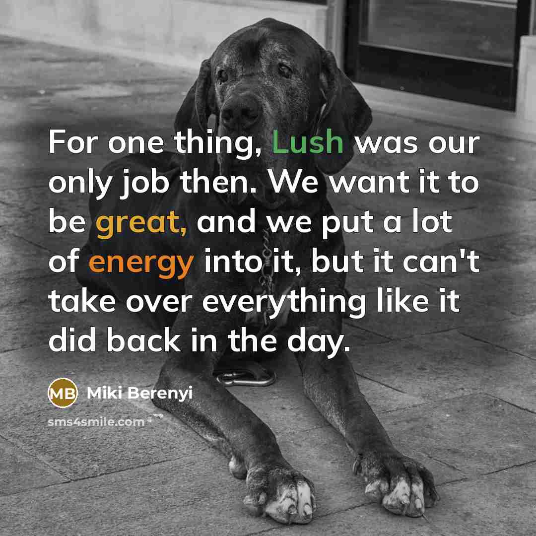 “For one thing, Lush was our only job then. We…” quote by Miki Berenyi