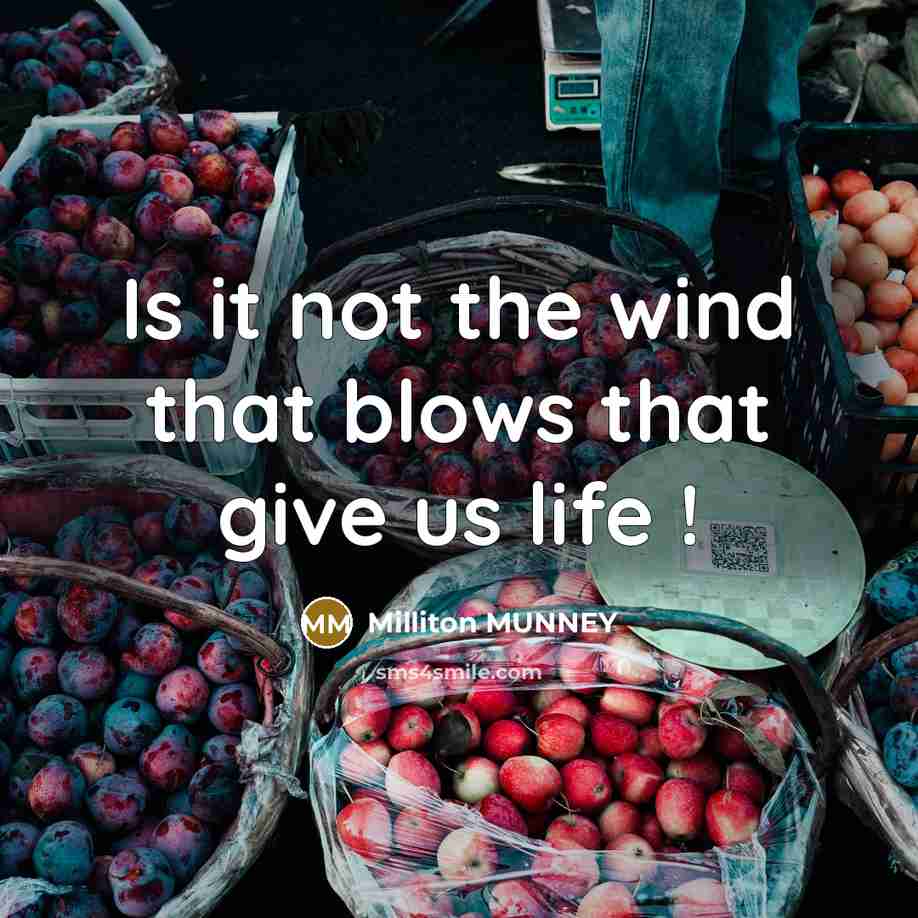 “Is it not the wind that blows that give us…” quote by Milliton MUNNEY