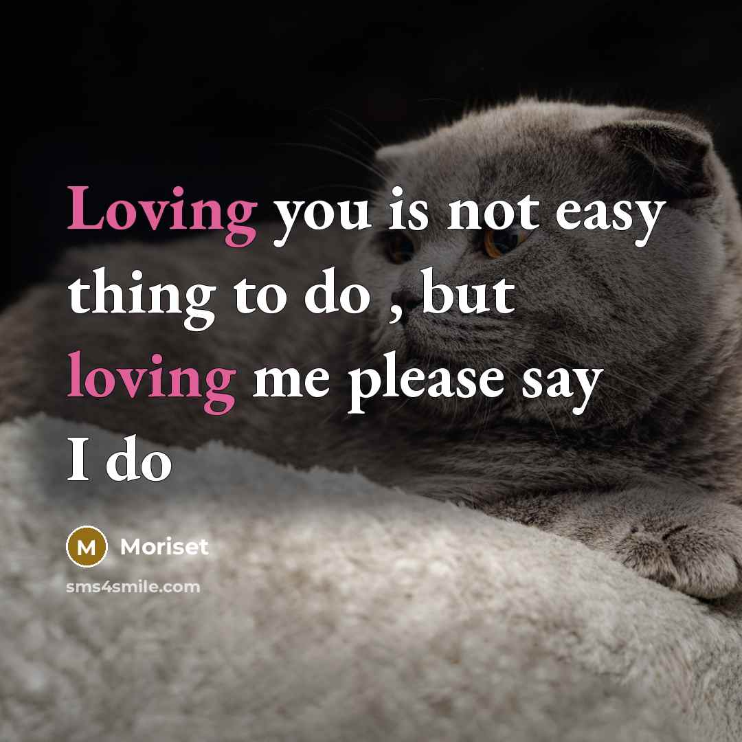 “Loving you is not easy thing to do , but loving me please say I do” quote by Moriset