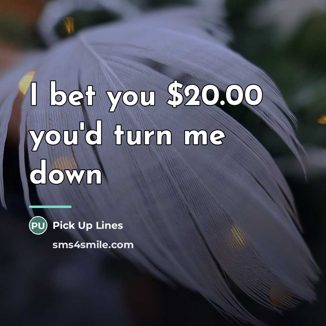 “I bet you $20.00 you'd turn me down…” quote by Pick Up Lines