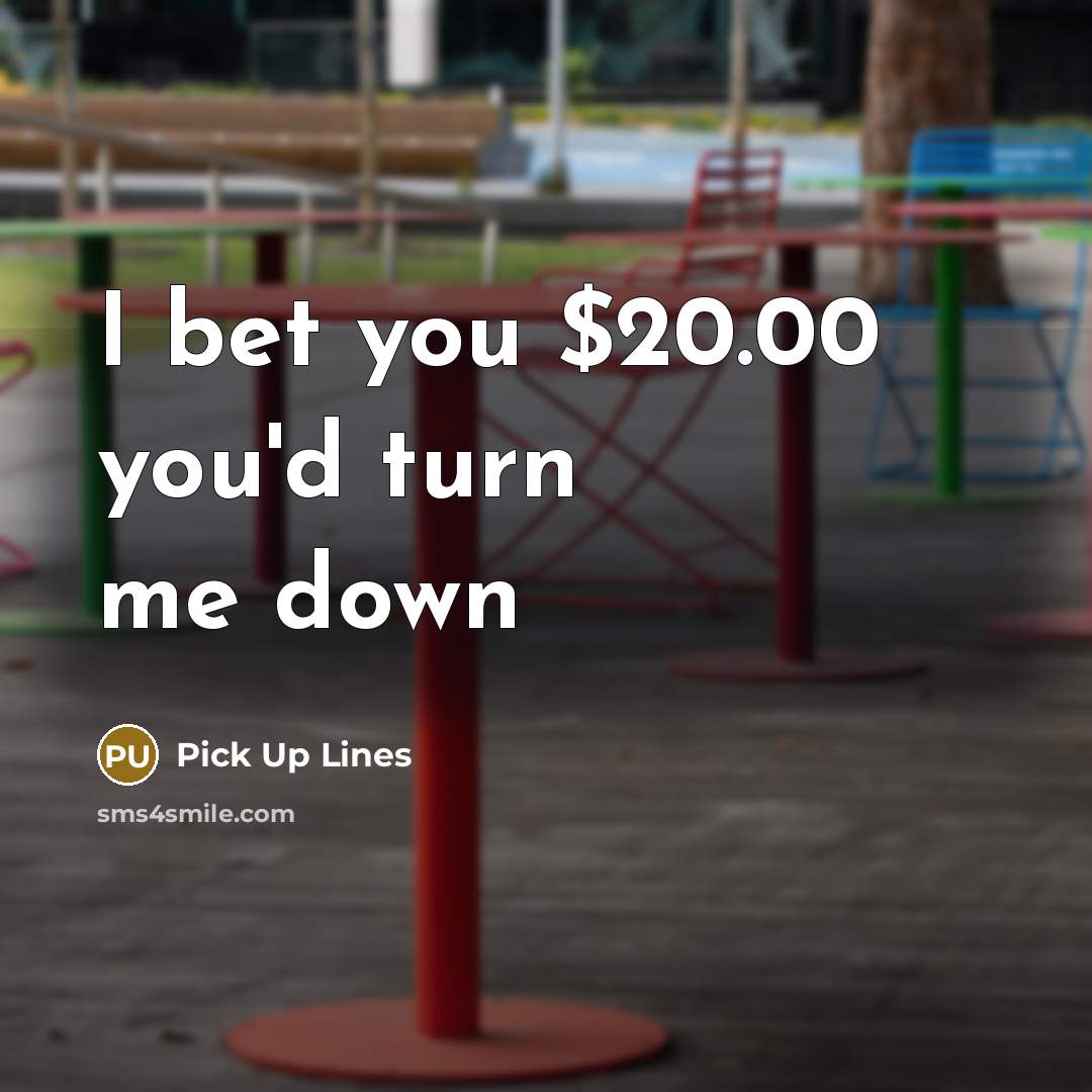 “I bet you $20.00 you'd turn me down” quote by Pick Up Lines