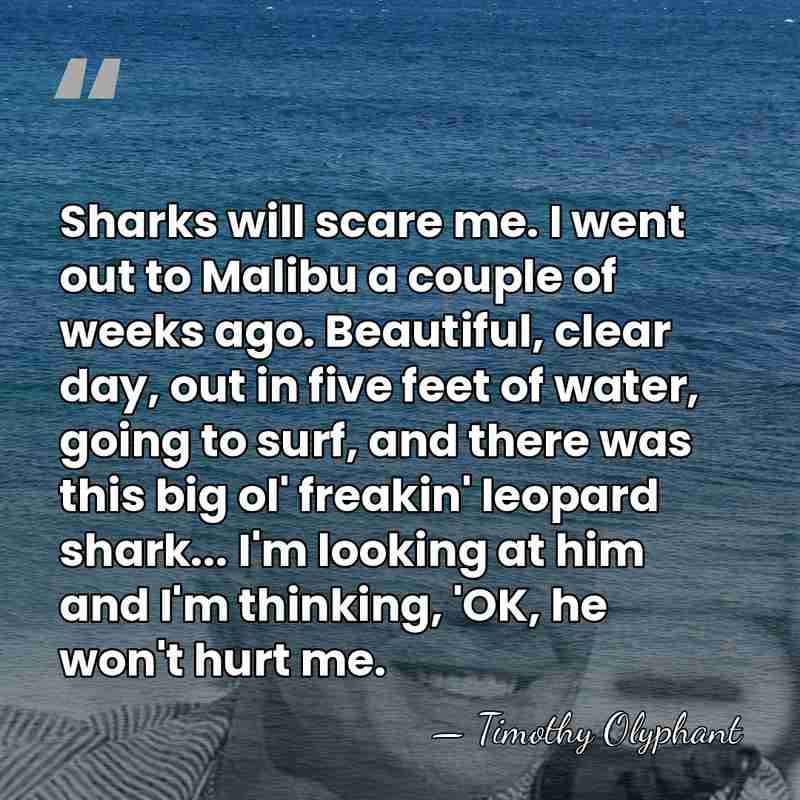 Sharks will scare me. I went out to Malibu a couple of&hellip; - Timothy Olyphant