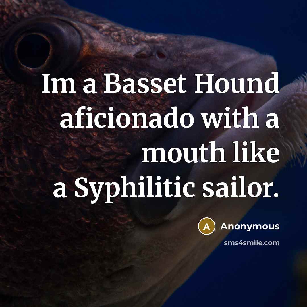 “Im a Basset Hound aficionado with a mouth like a…” quote by Anonymous